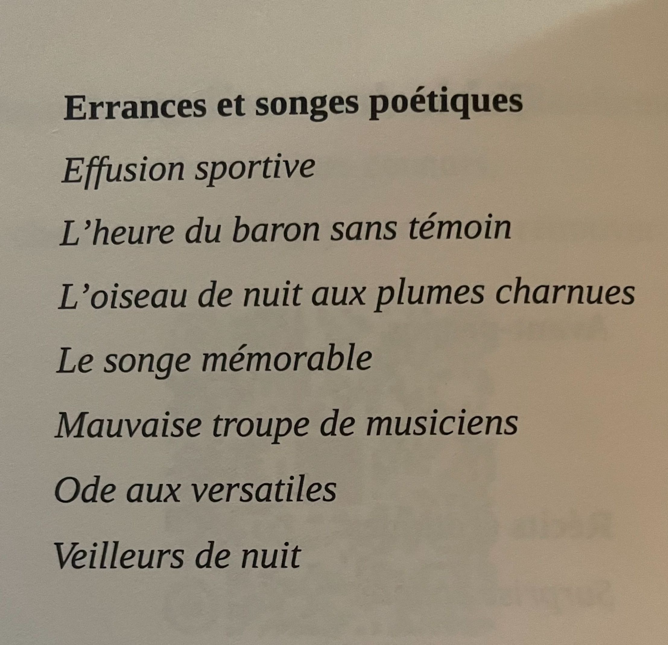 Table des matières errances et songes poétiques du livre Désirs Enflammés par Simon Debellevoix Page de table des matières d’un livre de poèmes érotiques ou queer, liste des titres de la page 168 à 181 : “Effusion sportive”, “L’heure du baron sans témoin”, “L’oiseau de nuit aux plumes charnues”, “Le songe mémorable”, etc.